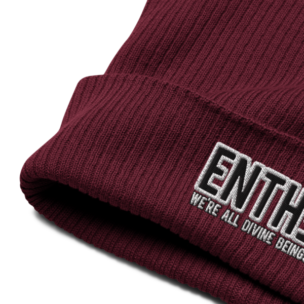 "WE'RE ALL DIVINE BEINGS" ENTH∃ Organic ribbed beanie - Image 7