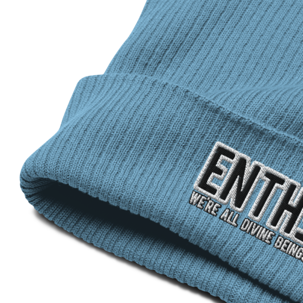"WE'RE ALL DIVINE BEINGS" ENTH∃ Organic ribbed beanie - Image 3