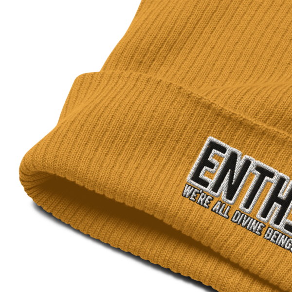"WE'RE ALL DIVINE BEINGS" ENTH∃ Organic ribbed beanie - Image 13